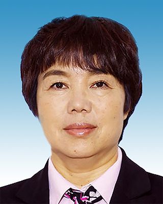 李彥平(全國人大代表、金後盾集團董事長) 李彥平(全國人大代表、金後盾集團董事長)