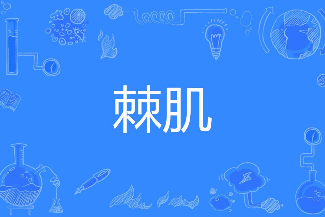棘肌 棘肌