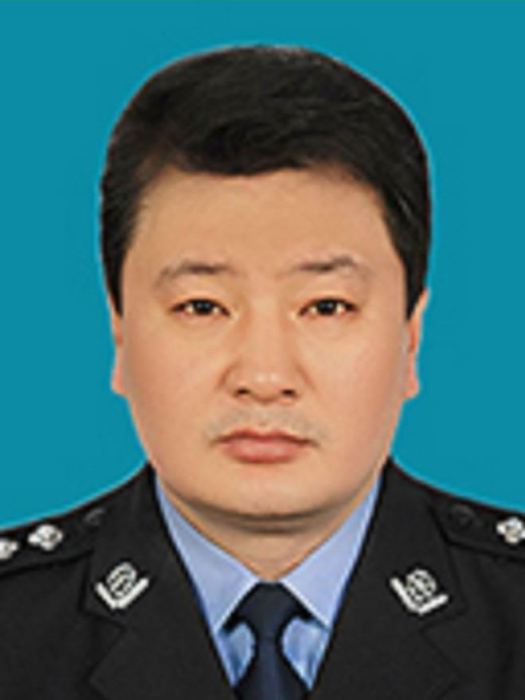 張鋒(黑龍江省雙鴨山市友誼縣人民政府副縣長、公安局局長) 張鋒(黑龍江省雙鴨山市友誼縣人民政府副縣長、公安局局長)