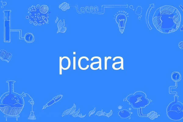 picara picara