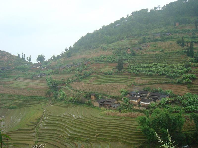 高井槽村(景東彝族自治縣景福鄉竹箐村委會高井槽村) 高井槽村(景東彝族自治縣景福鄉竹箐村委會高井槽村)