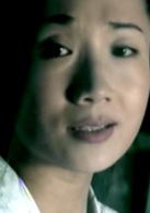 平淡生活(2004年沈佳妮主演海岩小說改編電視劇)