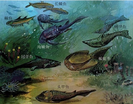奧陶紀生存的部分物種