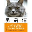 男前貓 男前貓