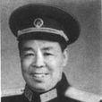 肖大荃