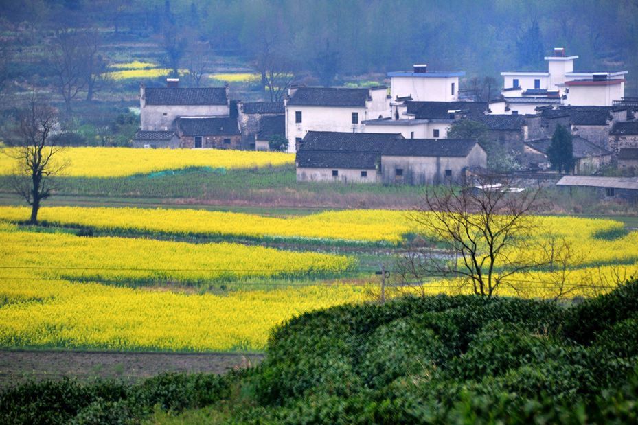 落令河村