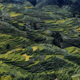 南尖岩風景區 南尖岩風景區