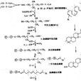 膽固醇