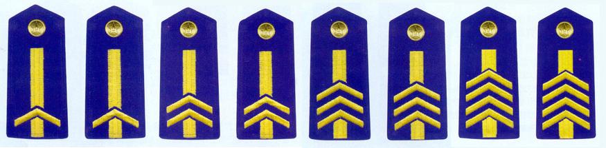 解放軍空軍專業軍士肩章(1993-1999)