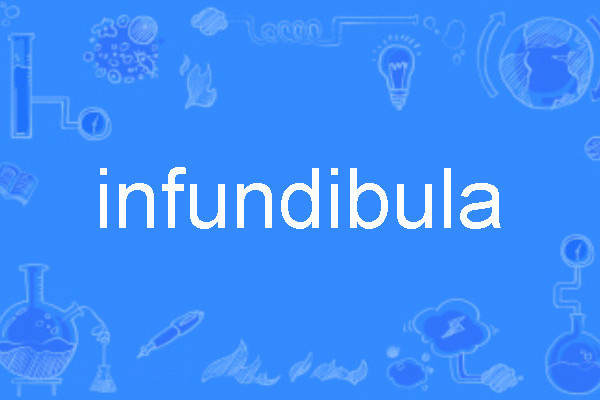infundibula infundibula
