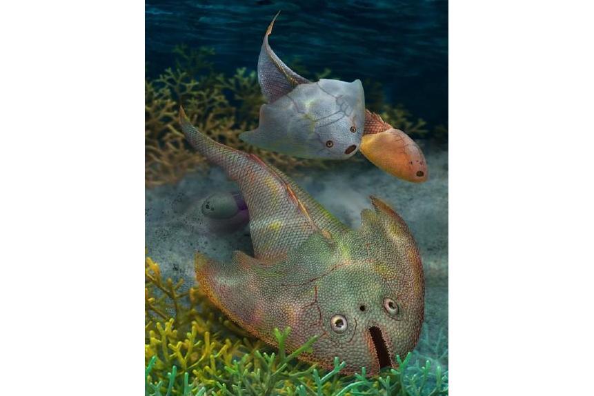 戎氏江夏魚 戎氏江夏魚