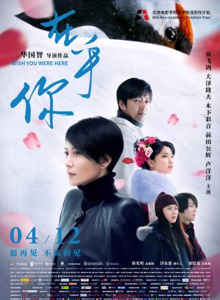 盧洋洋