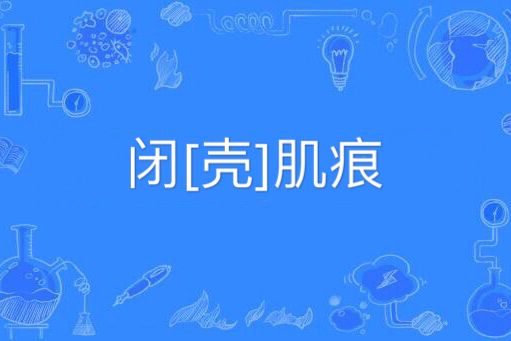 閉[殼]肌痕