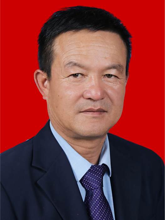 羅振旺(吳忠市同心縣自然資源局黨組成員) 羅振旺(吳忠市同心縣自然資源局黨組成員)