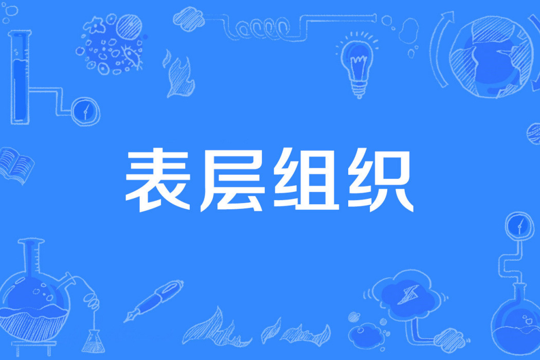表層組織 表層組織