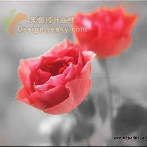 歷史記錄畫筆