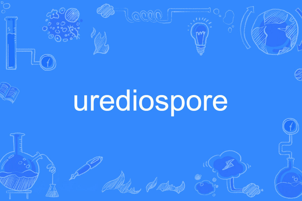 urediospore urediospore