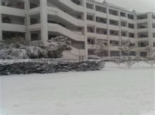 南縣立達中學雪景