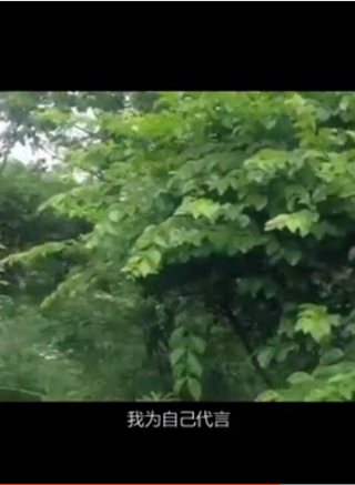 城中鳥 城中鳥