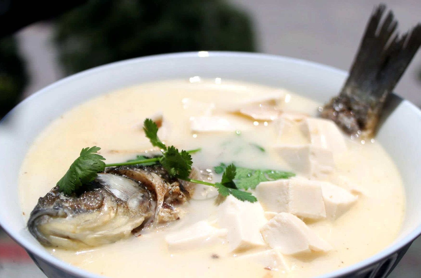 白汁鯉魚 白汁鯉魚