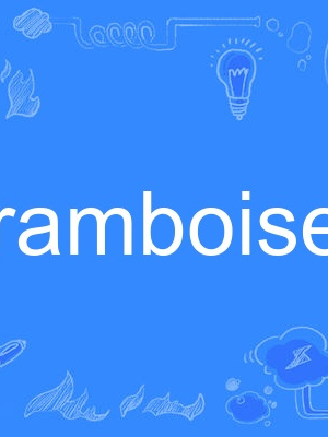 framboise framboise