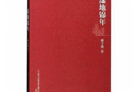 濕地錦年