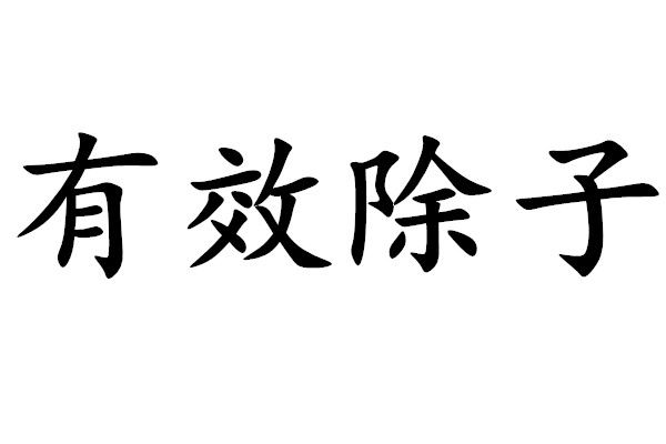 有效除子 有效除子