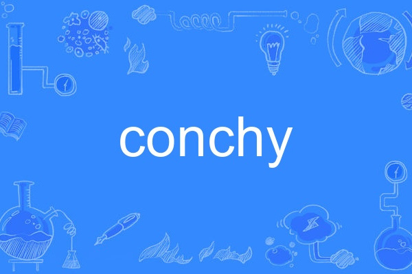 conchy conchy