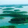 東湖水庫 東湖水庫