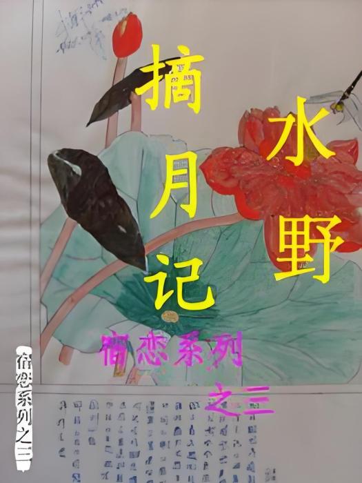 摘月記 摘月記