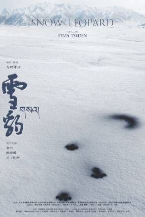 熊梓淇