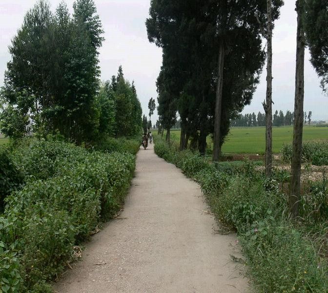 寺腳自然村 寺腳自然村
