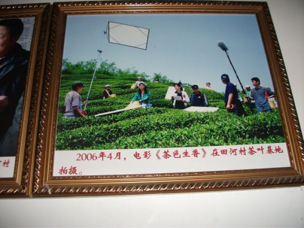 2006年4月 電影茶葉生香在田河村拍攝