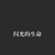 閃光的生命 閃光的生命