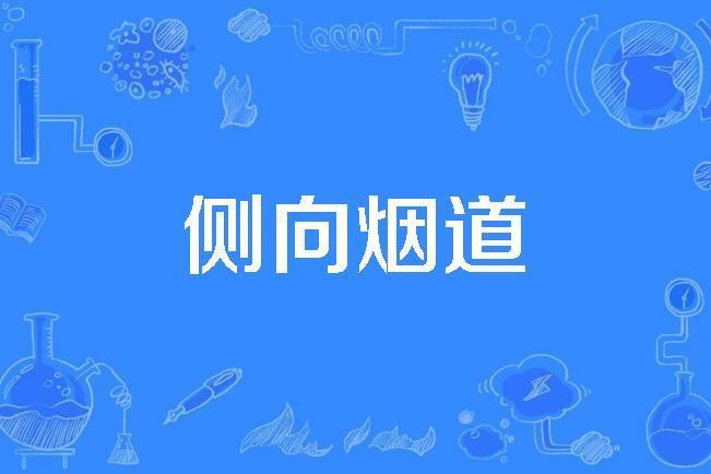 側向煙道 側向煙道