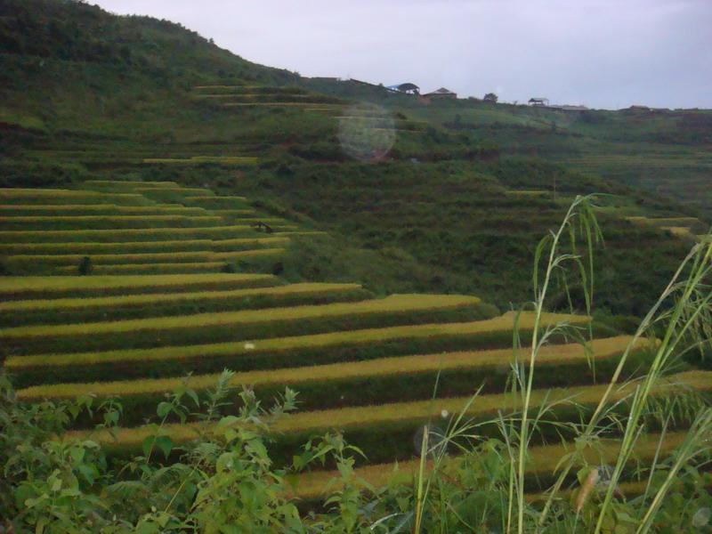 班東村 班東村