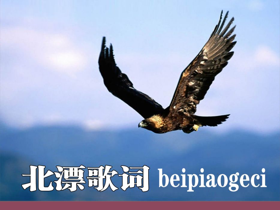 北漂(北漂歌詞) 北漂(北漂歌詞)
