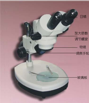 混合顯微鏡