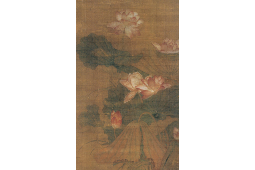 三色蓮圖 三色蓮圖