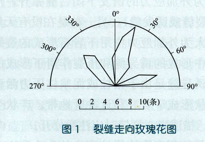裂縫要素 裂縫要素