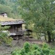 樹比村 樹比村