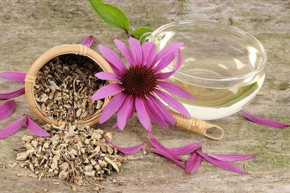 紫錐花茶 紫錐花茶