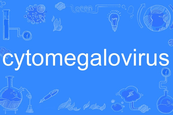 cytomegalovirus cytomegalovirus