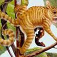 世紀曙猿 世紀曙猿