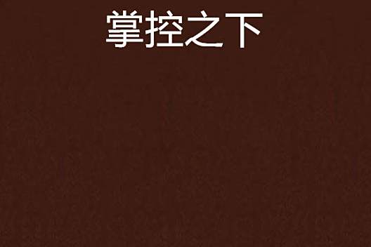 掌控之下 掌控之下