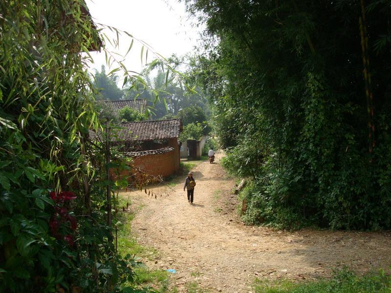 扎多村 扎多村