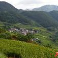 太和村(廣西省容縣黎村鎮下轄村) 太和村(廣西省容縣黎村鎮下轄村)