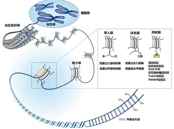 插入聚合 插入聚合