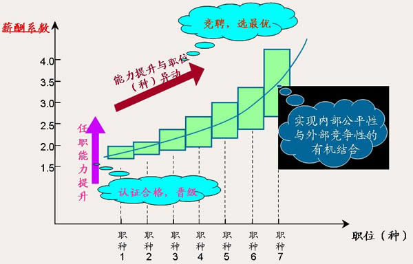 寬頻薪酬相關示意圖