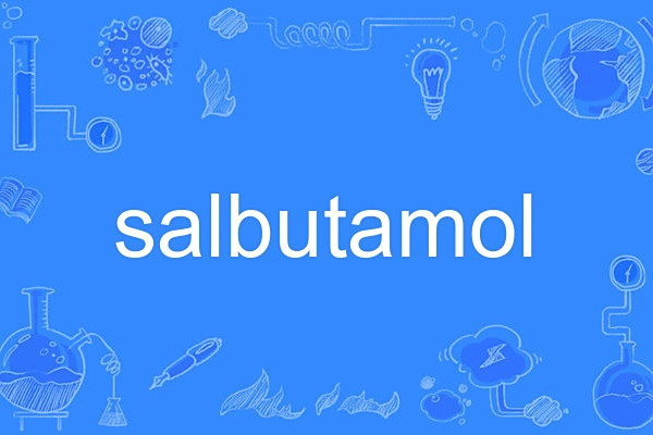 salbutamol salbutamol